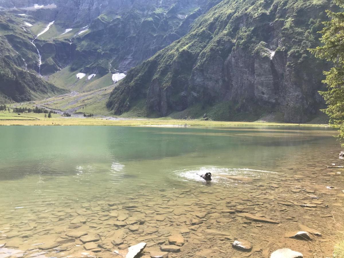 Ferienwohnung Wildkogelblick Bramberg am Wildkogel Eksteriør billede